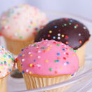 Alternativer Text Bild